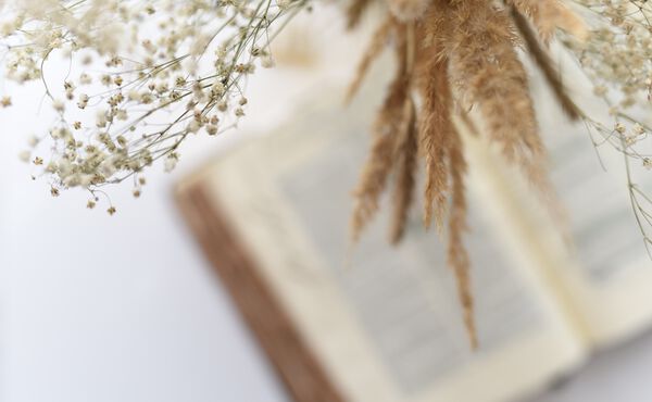 /Magazine/2020/Karma/Summer reading list - June.jpg